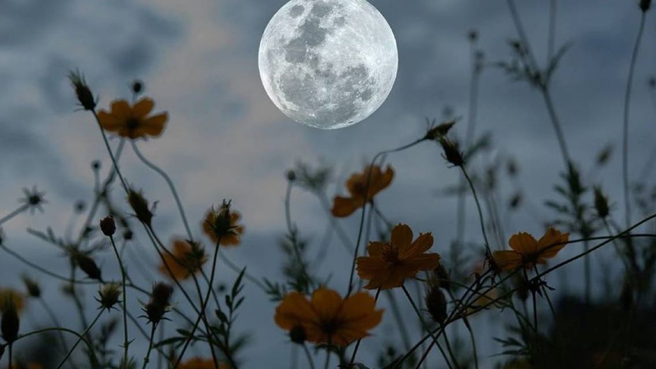 Micro luna llena